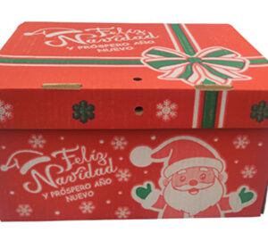 Cajas Navideñas
